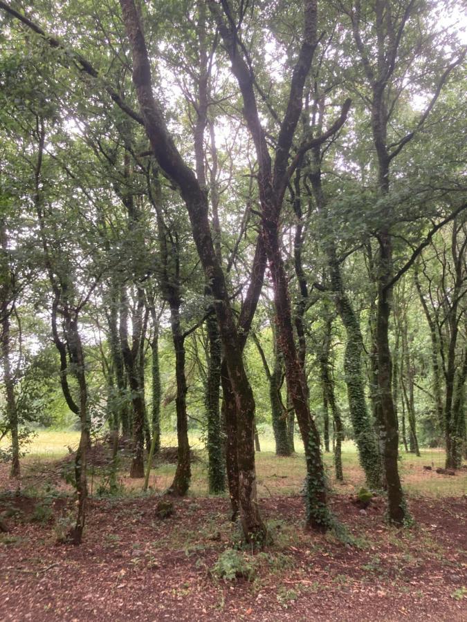 Camping Vila De Sarria Exterior foto